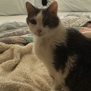 Meet your Posher, Nancy